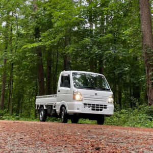 2015 SUZUKI CARRY